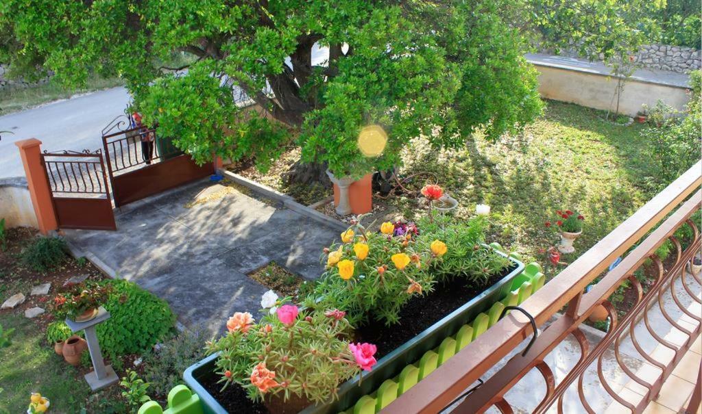 Apartmani Volga Петркане Екстериор снимка