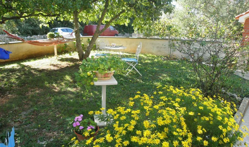 Apartmani Volga Петркане Екстериор снимка